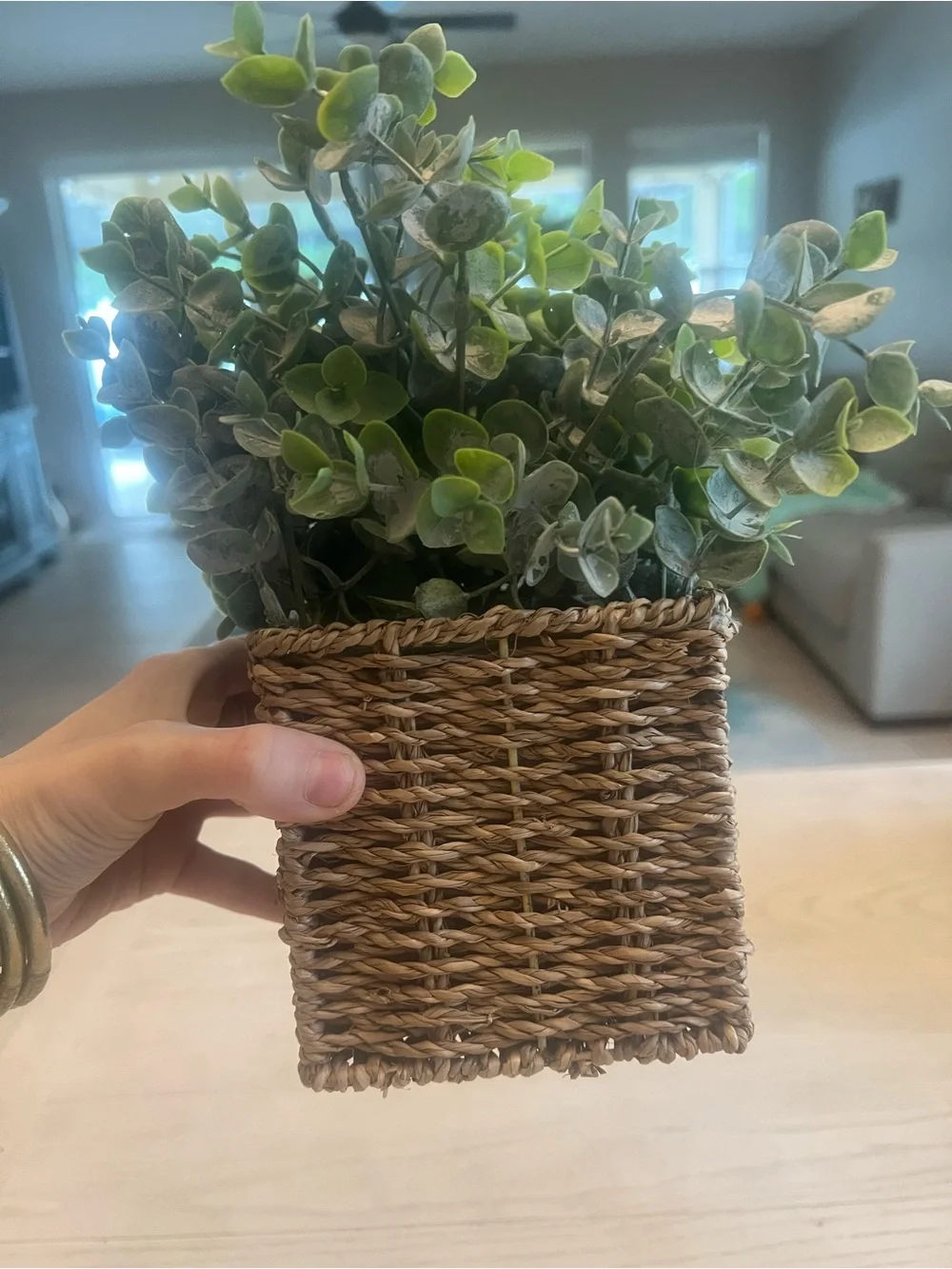 Faux Eucalyptus Plant in Woven Square Planter